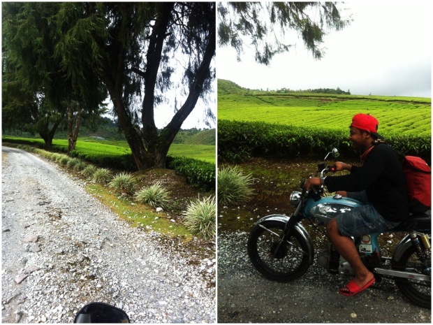 Kondisi jalan dan Bang Boy saat mengendari sepeda motor "kijang" kesayangannya, melewati perkebunan teh, menuju Danau Talang